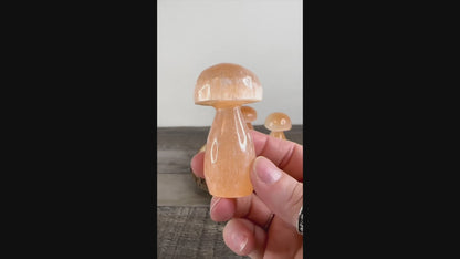 Peach Satin Spar Selenite Small Mushroom Carvings