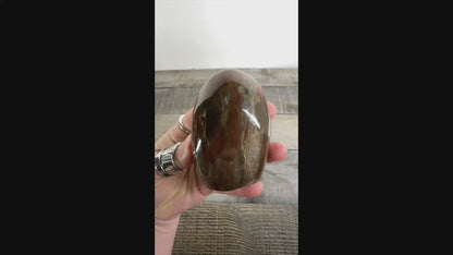 Petrified Wood Freeform from Madagascar A05-A07 - You Choose! (Copy)