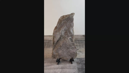 Dinosaur Footprint Track from Connecticut - Grallator C