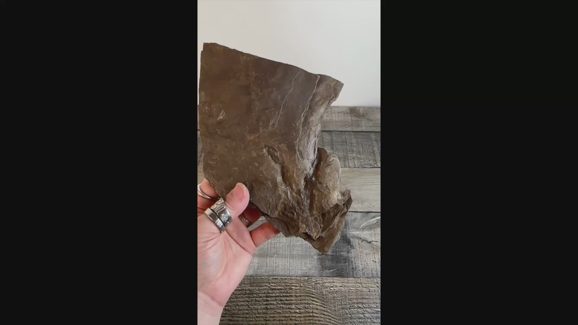 Dinosaur Footprint Track from Connecticut - Anomoepus A