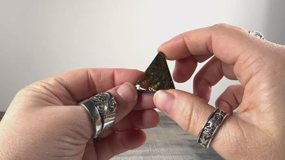 Ammolite from Alberta, Canada I