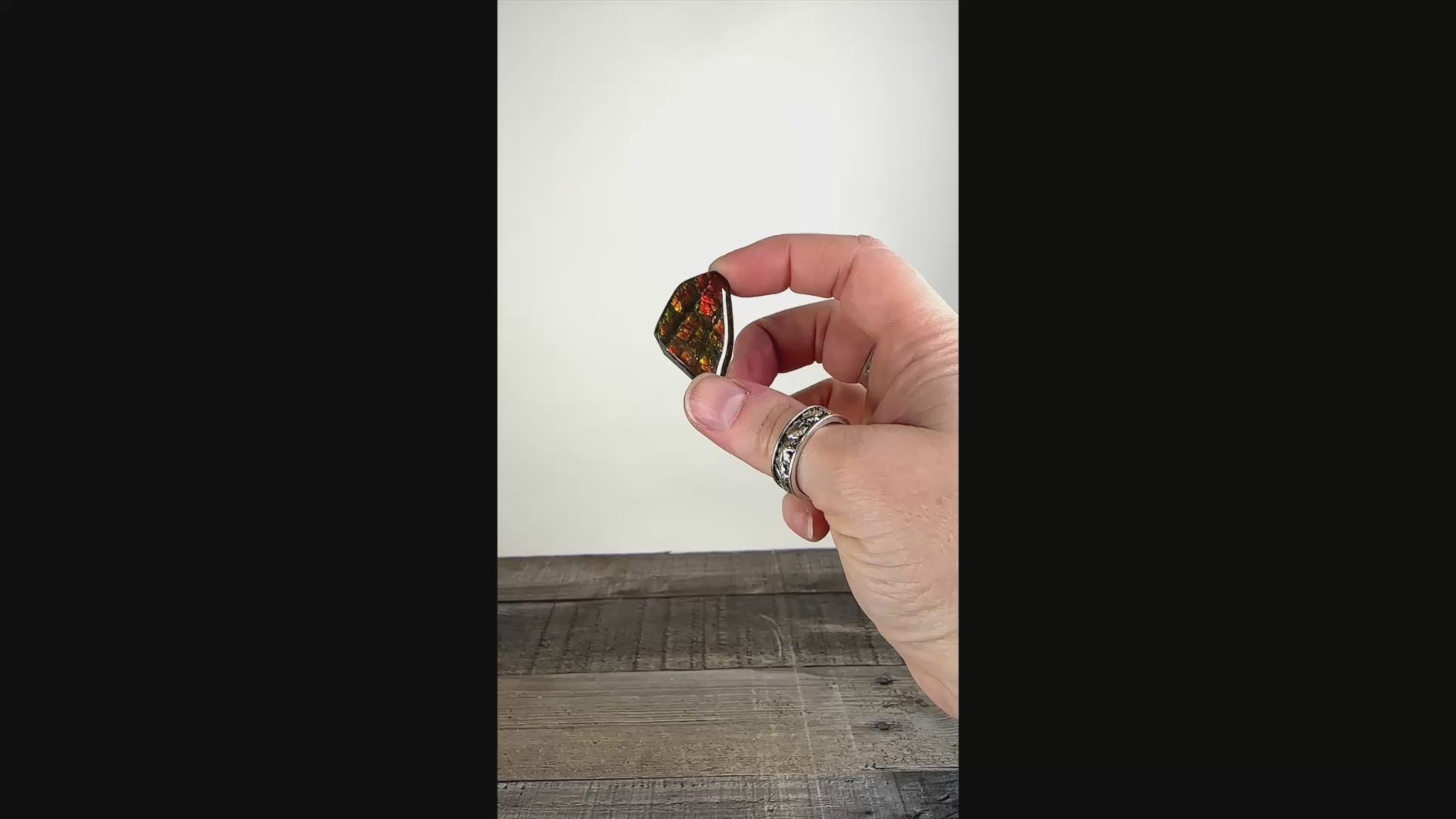 Ammolite from Alberta, Canada AA03