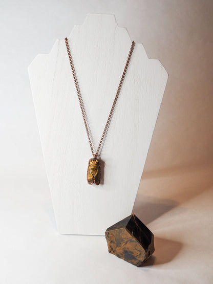 Carved tiger's eye cicada electroformed copper pendant on a copper chain
