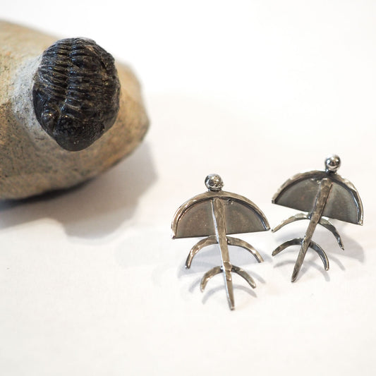 Small hand-made hammered silver post earrings in the shape of a stylized trilobite shown with a trilobite fossil