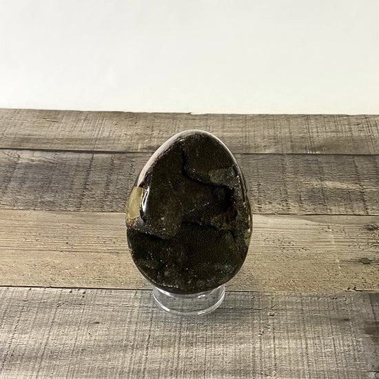 3.85" tall Septarian Dragon Egg with Black Druzy - Video