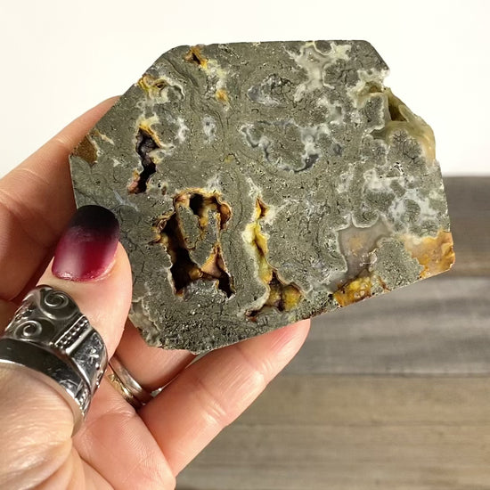 Pyrite Flower Agate Slab with Botryoidal Elements - Video