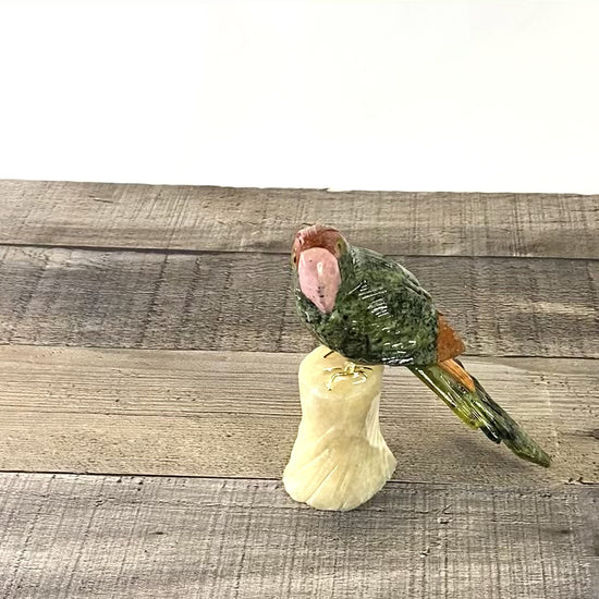 hand-carved parrot with hand-painted accents - Video
