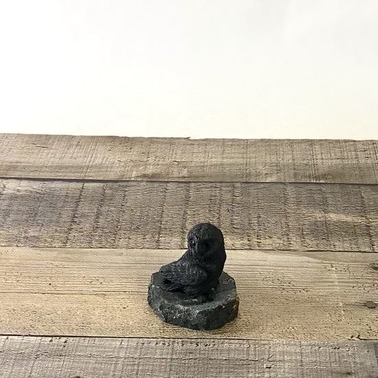 Hand-carved Shungite Owl Carving that is about 2.5" tall - Video