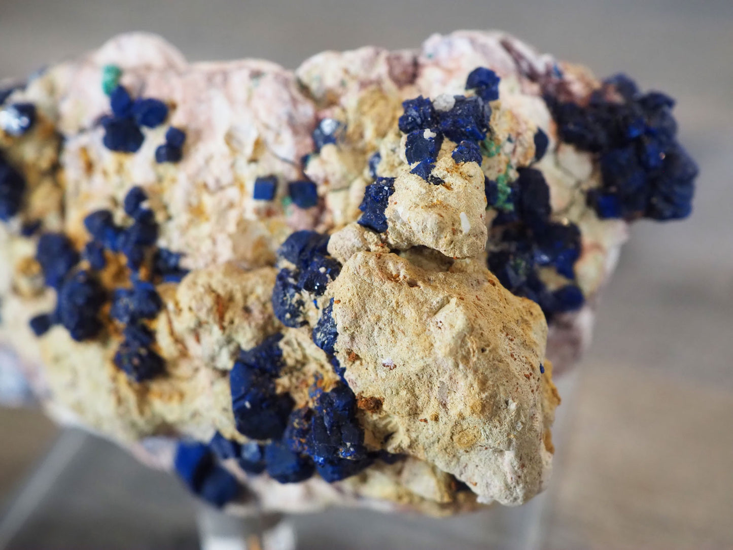 Sparkling 4" long Azurite Clusters in Matrix - Closeup