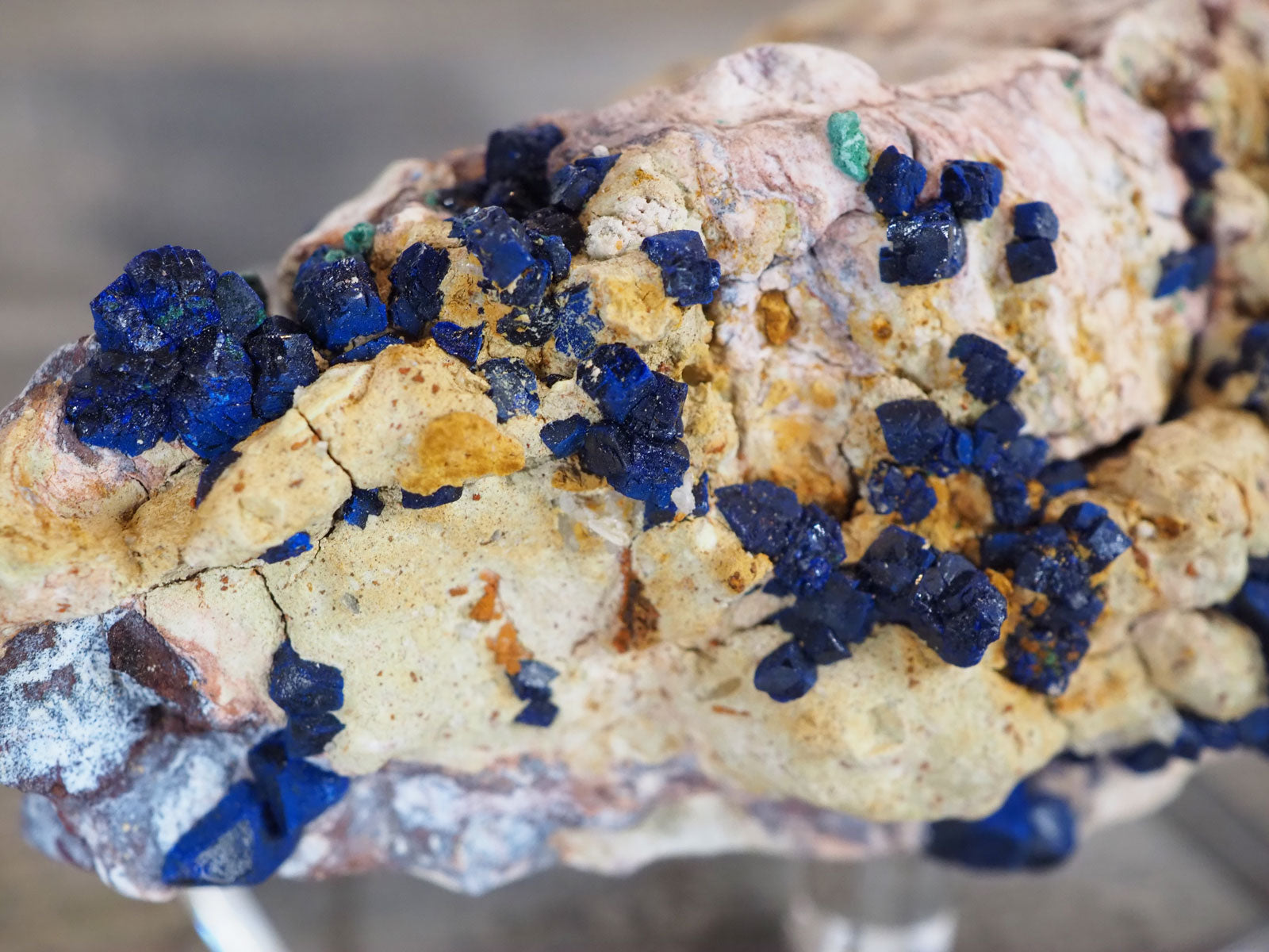 Sparkling 4" long Azurite Clusters in Matrix - Closeup