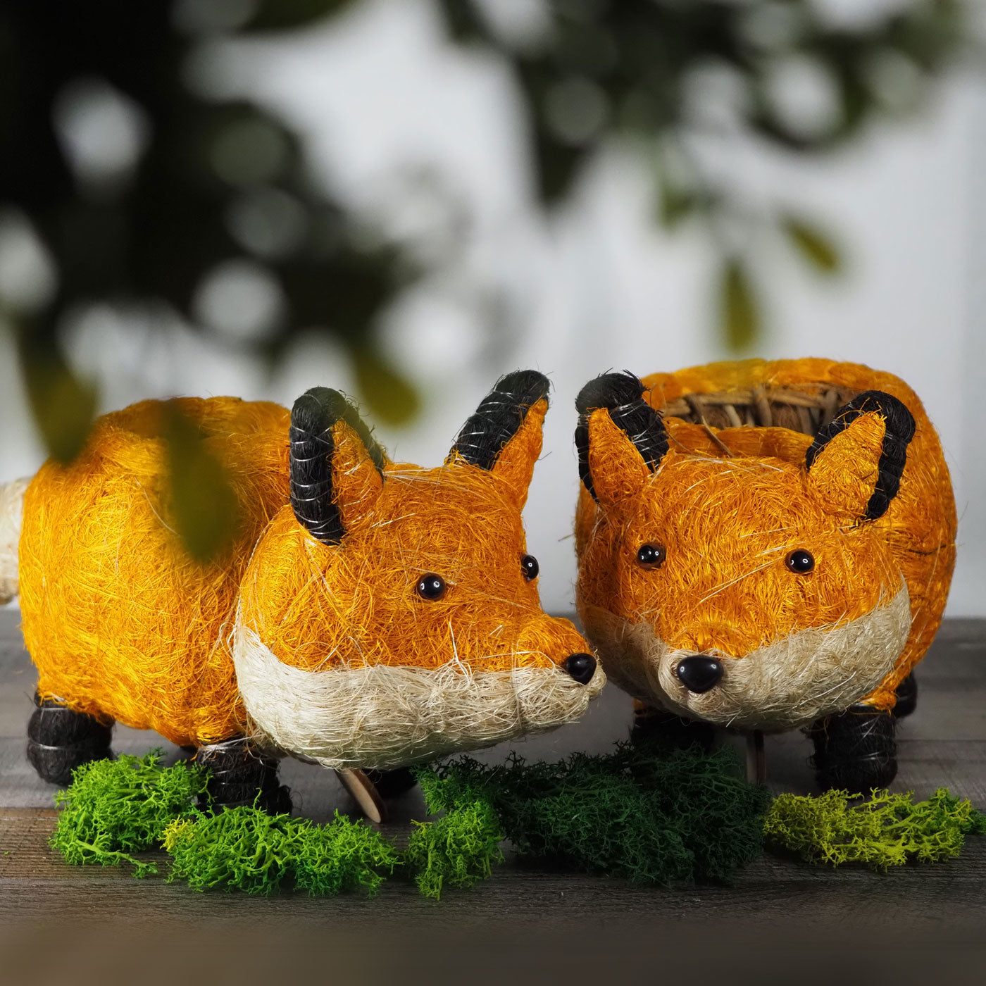 2 Handmade Coco Coir Baby Fox Planters