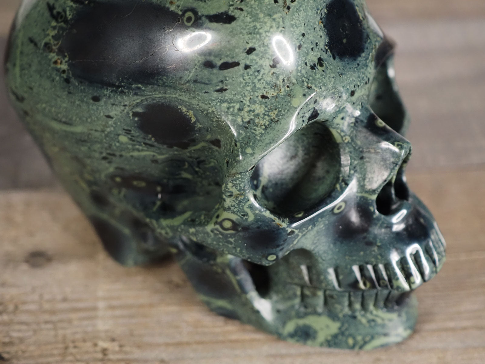 5" Extra-Detailed Kambaba Jasper Skull - Closeup