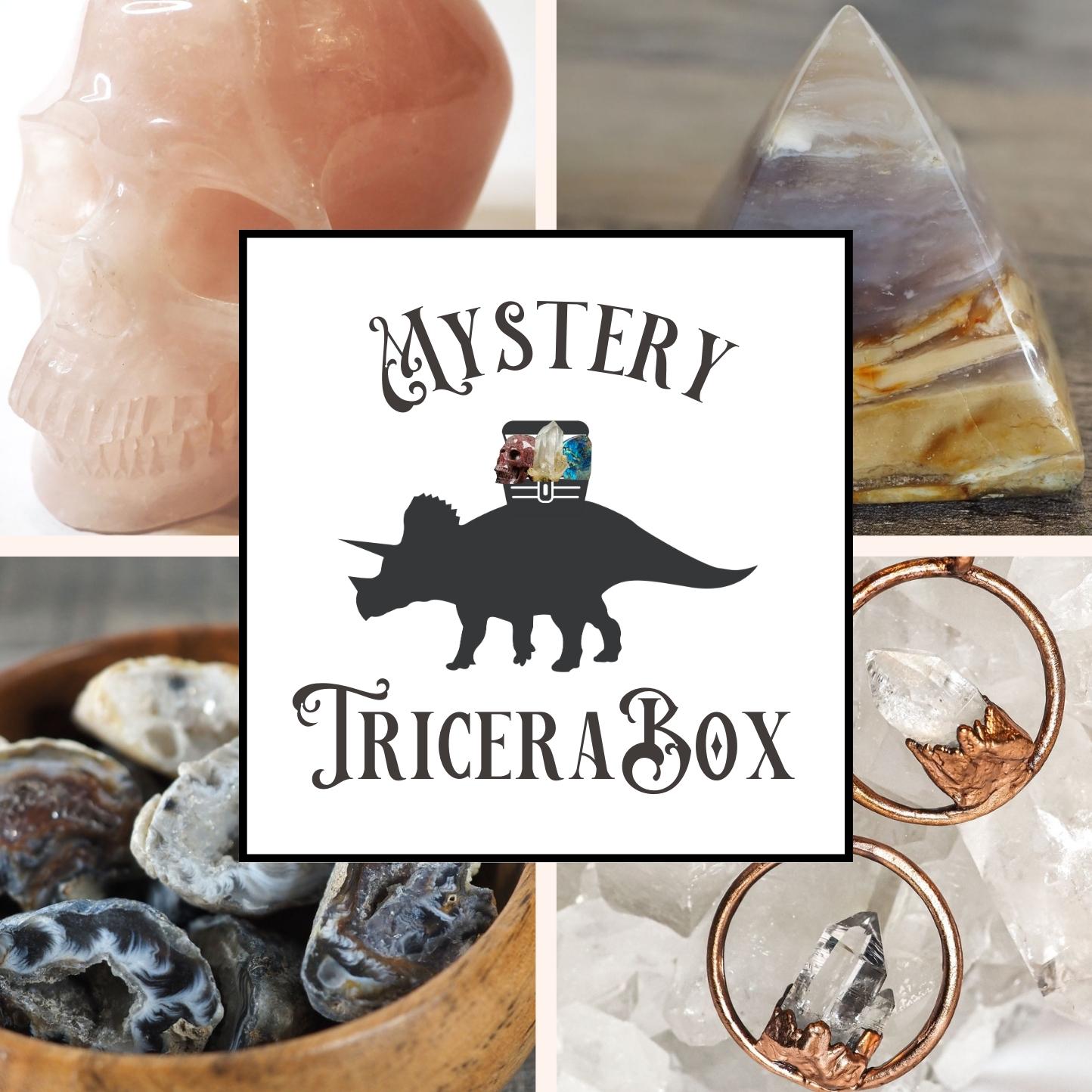 Mystery Tricerabox packed with 3 specially-chosen items from our inventory with a value of at least 10% more than the cost of the box!