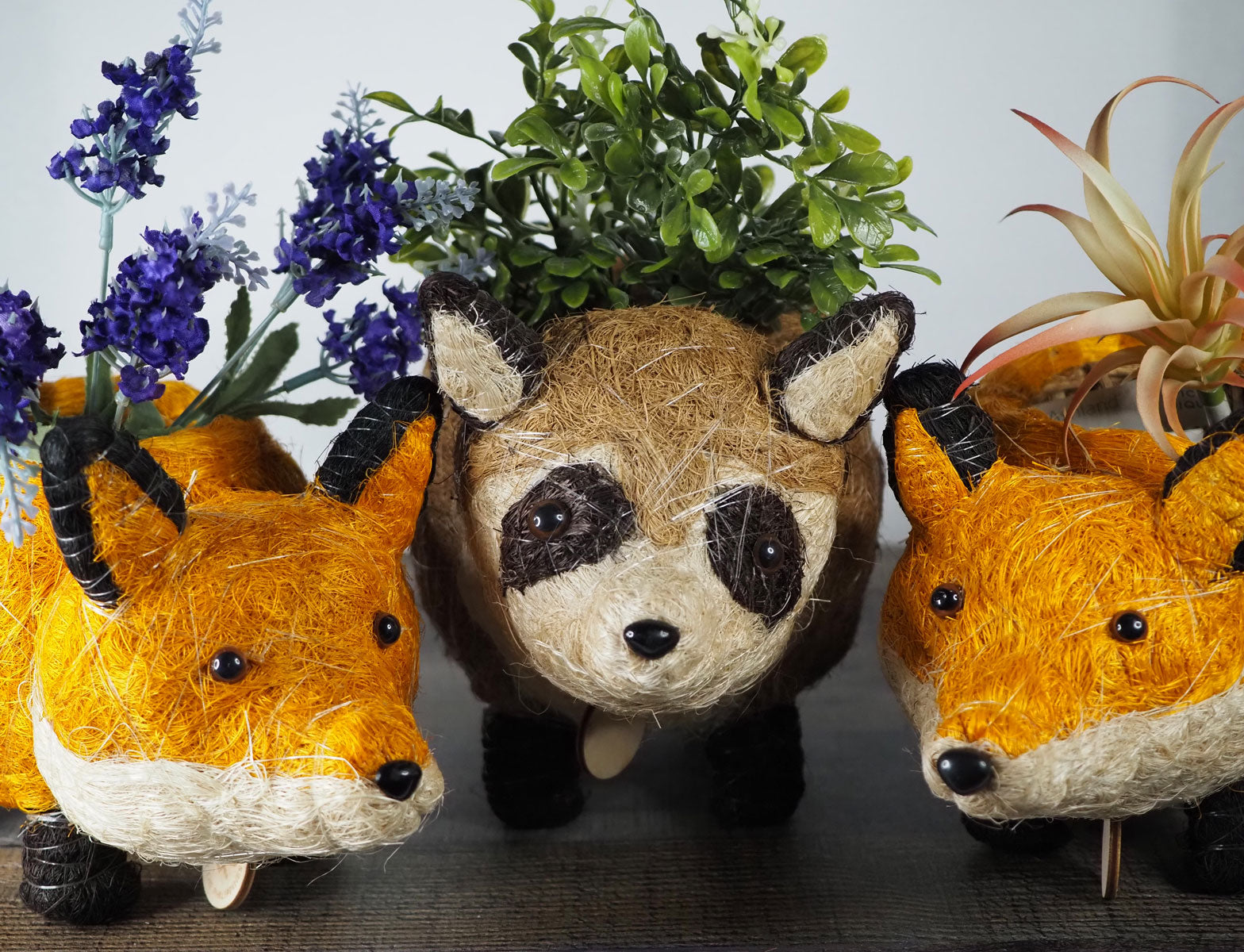2 Handmade Coco Coir Baby Fox Planters with a cute raccoon planter