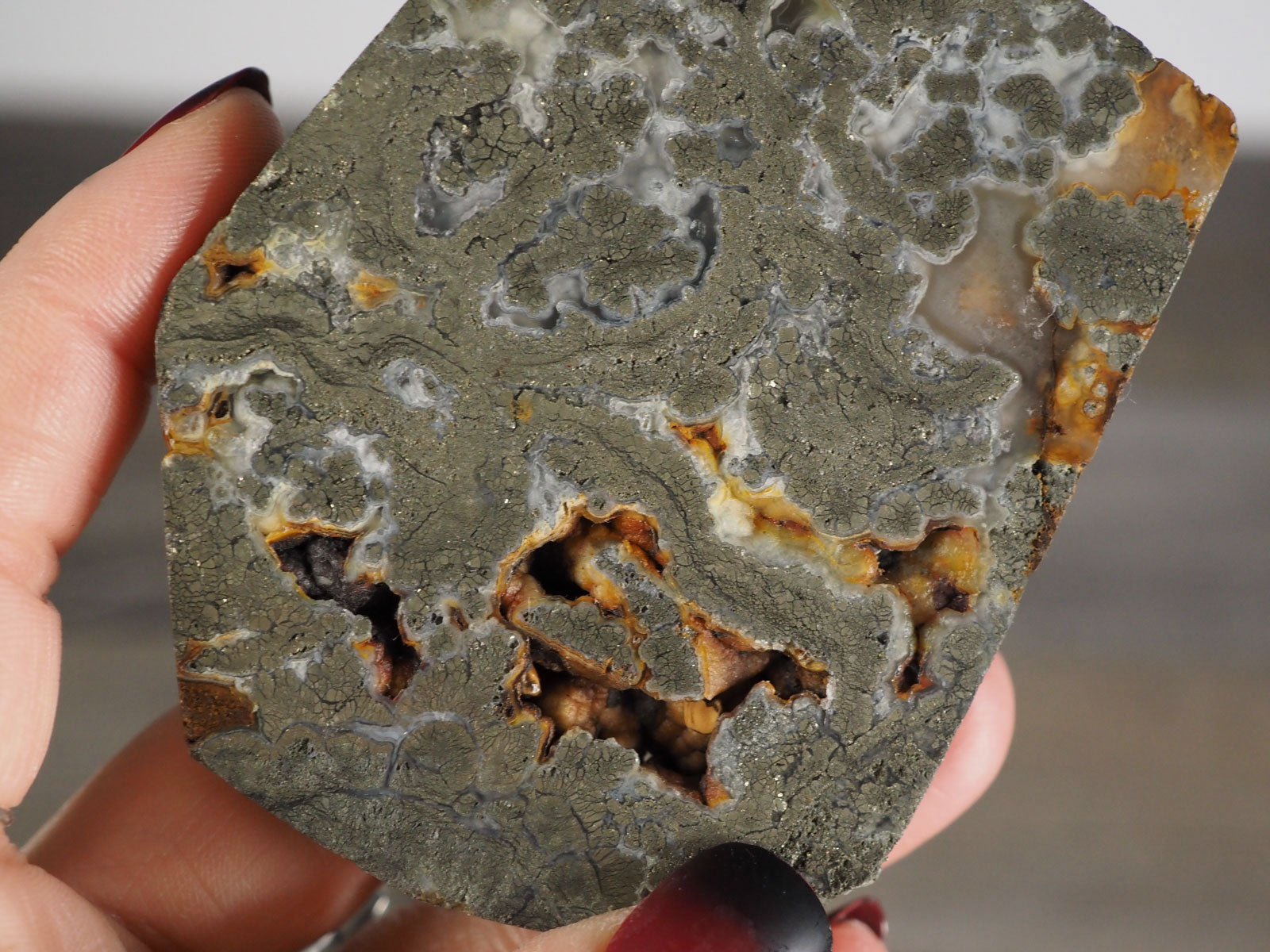 Pyrite Flower Agate Slab with Botryoidal Elements - Closeup in hand