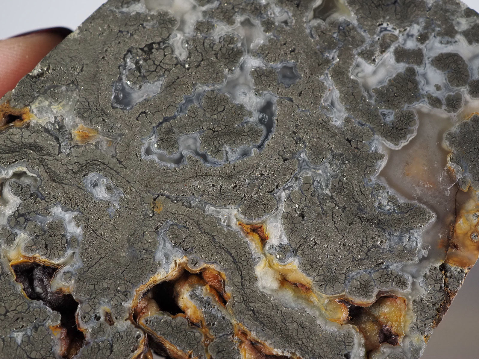 Pyrite Flower Agate Slab with Botryoidal Elements - Closeup