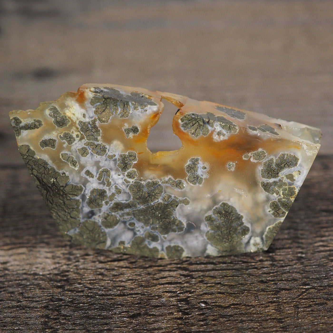 Pyrite Flower Agate Slab with Red Iron Deposits and Large Botryoidal Elements