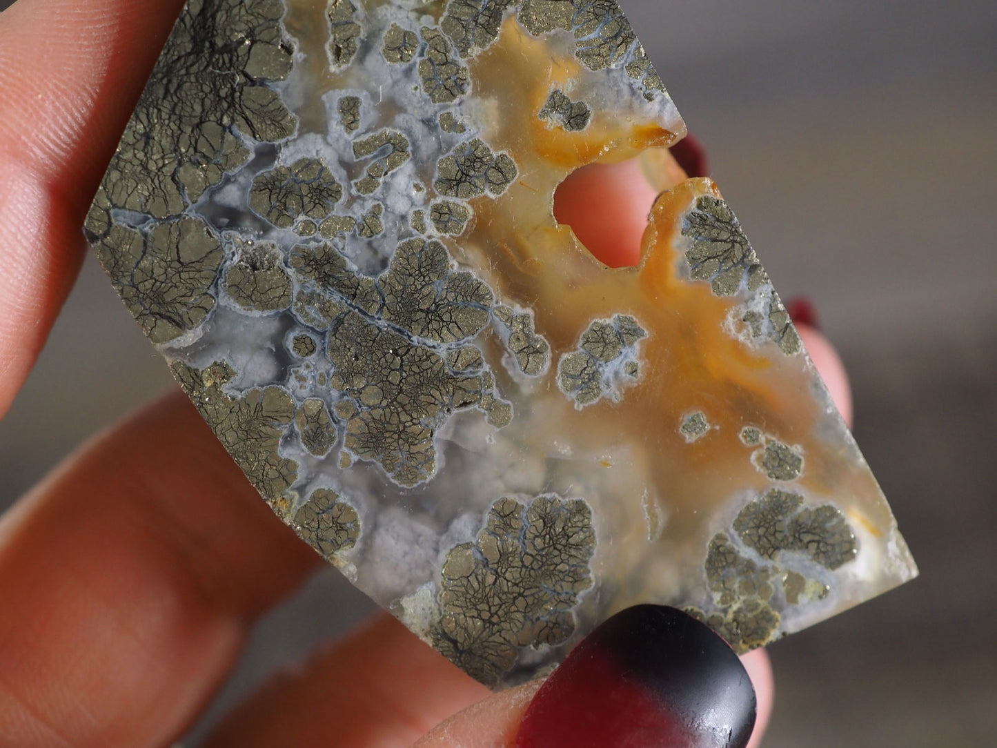 Pyrite Flower Agate Slab with Red Iron Deposits and Large Botryoidal Elements - Closeup in hand