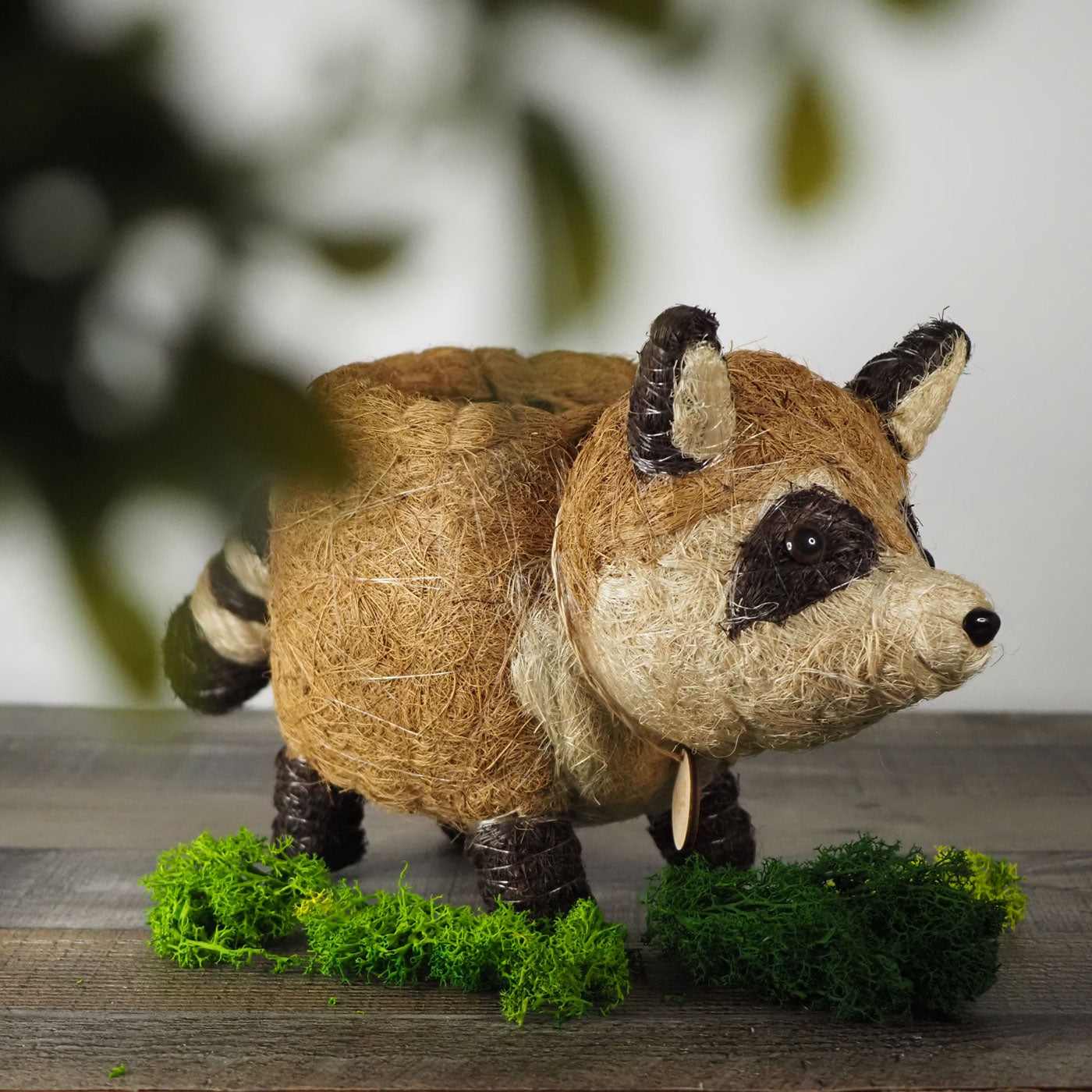 A cute hand-made coco coir raccoon planter