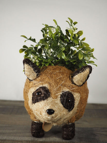 A cute hand-made coco coir raccoon planter