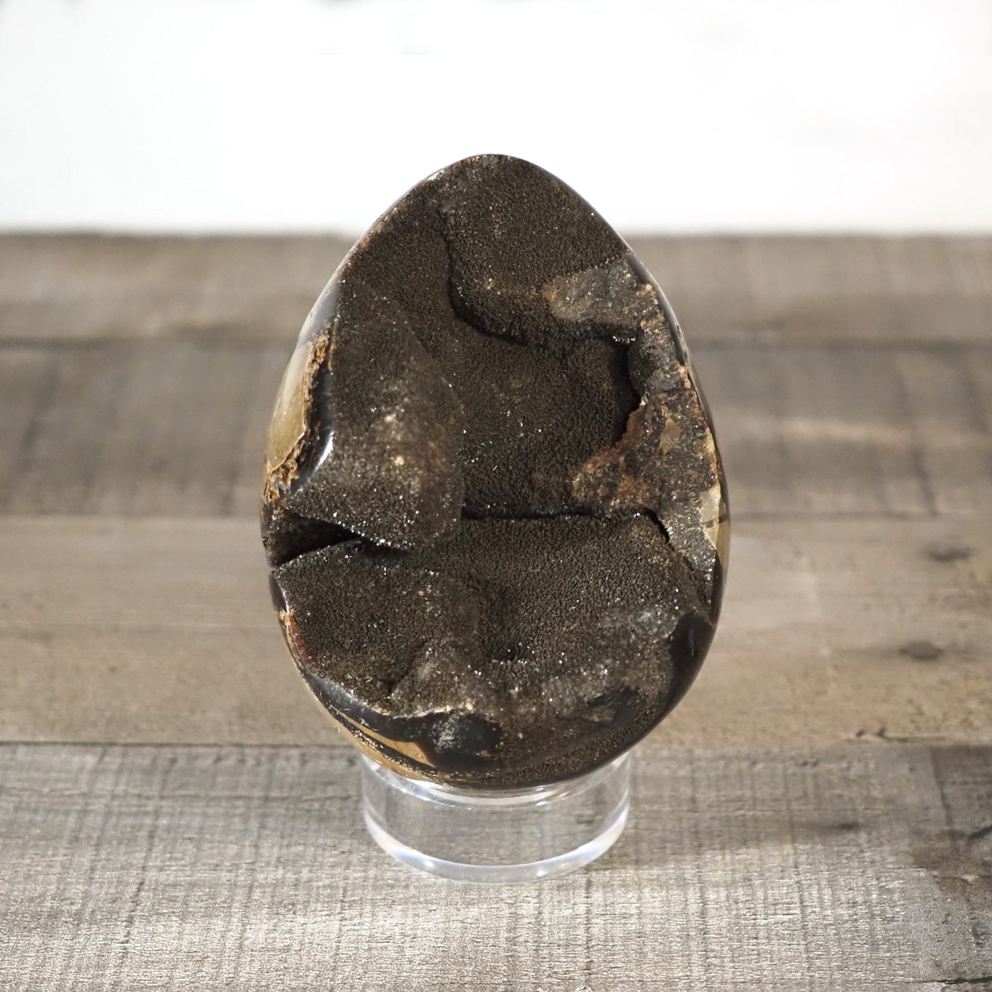 3.85" tall Septarian Dragon Egg with Black Druzy