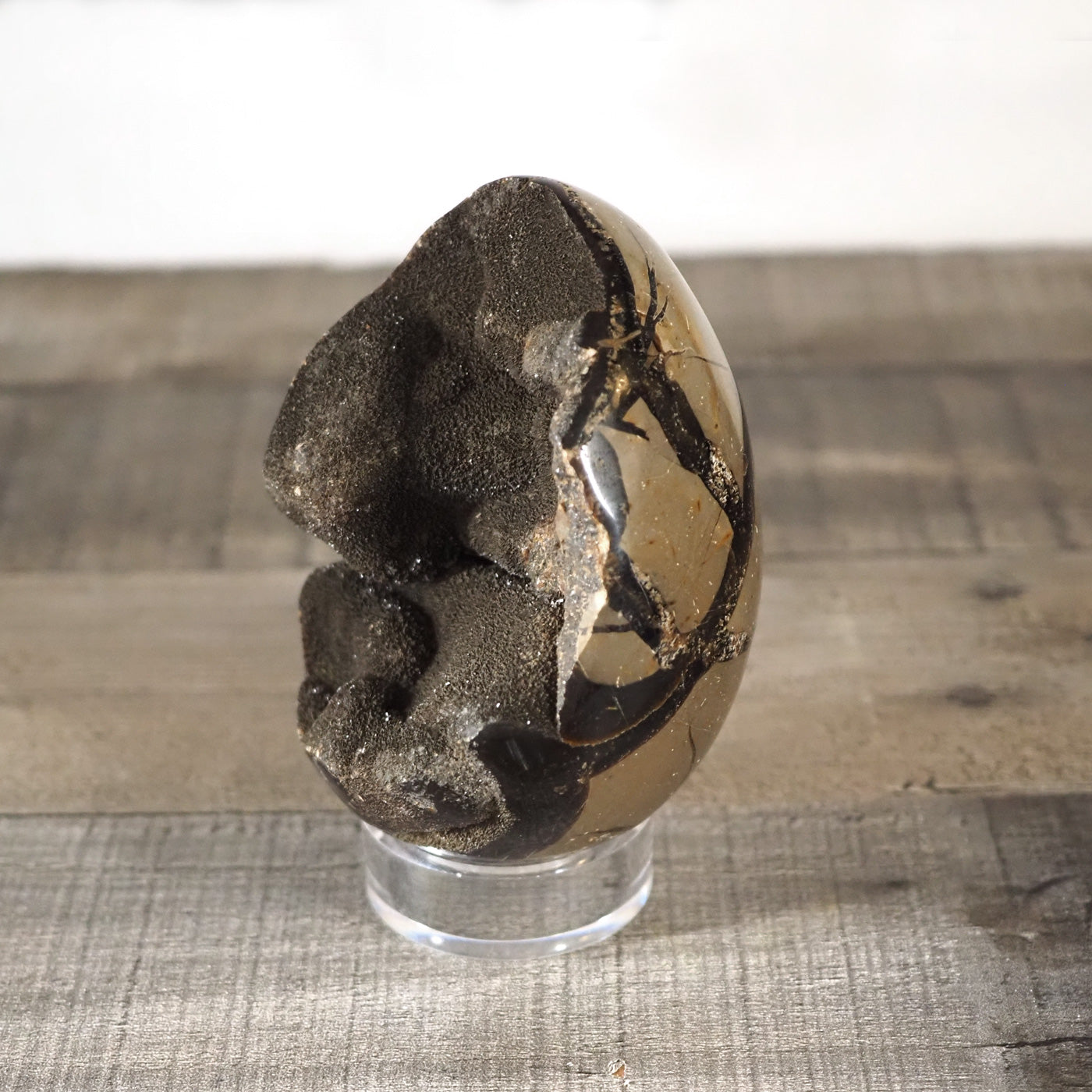 3.85" tall Septarian Dragon Egg with Black Druzy