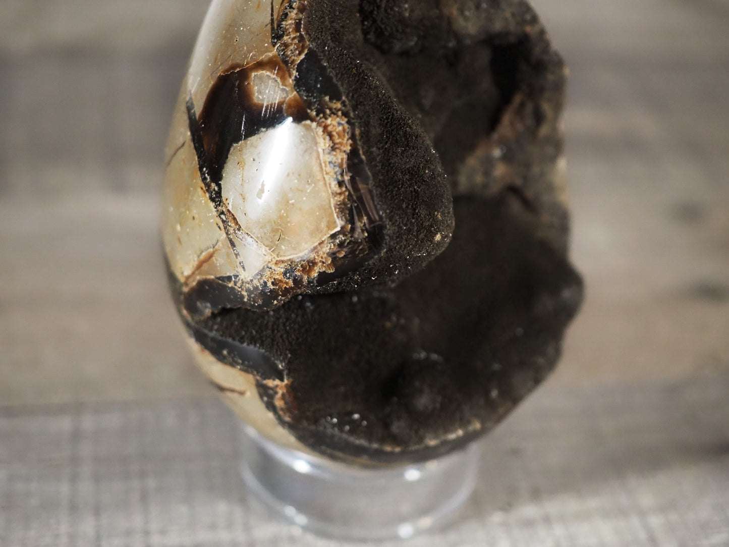 3.85" tall Septarian Dragon Egg with Black Druzy - Closeup