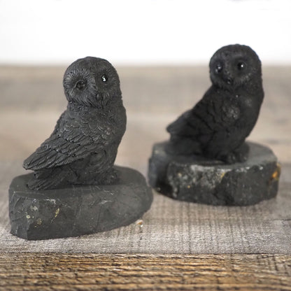 2 Hand-carved Shungite Owl Carvings that are about 2.5" tall