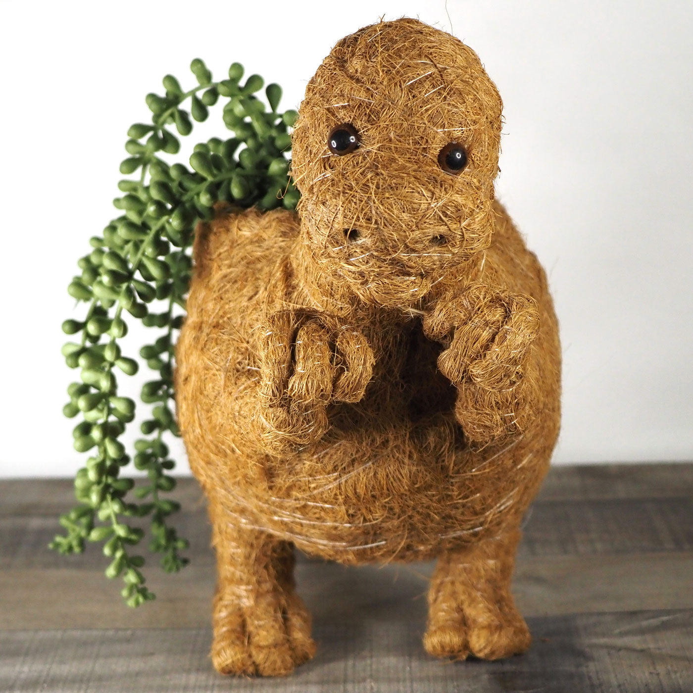 T-Rex Dinosaur Animal Planter hand-made from coco coir